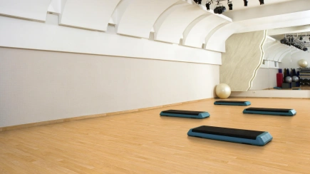 Спортивные покрытия MULTIFLEX MR TARKETT Спортивные покрытия MULTIFLEX MR TARKETT