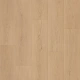 Бытовой линолеум CRAFT OLBANY 2 Non Branded