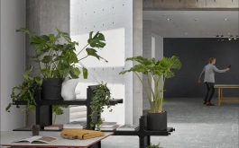Desso Futurity