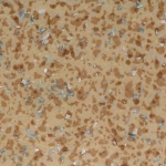Электростатические покрытия ACCZENT MINERAL AS 1000 11 TARKETT