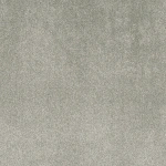 Бытовые ковровые покрытия PRIME Prime  10588 TARKETT