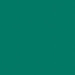 Спортивные покрытия OMNISPORTS ACTION 65 FOREST GREEN TARKETT