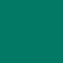 Спортивные покрытия OMNISPORTS ACTION 65 FOREST GREEN TARKETT