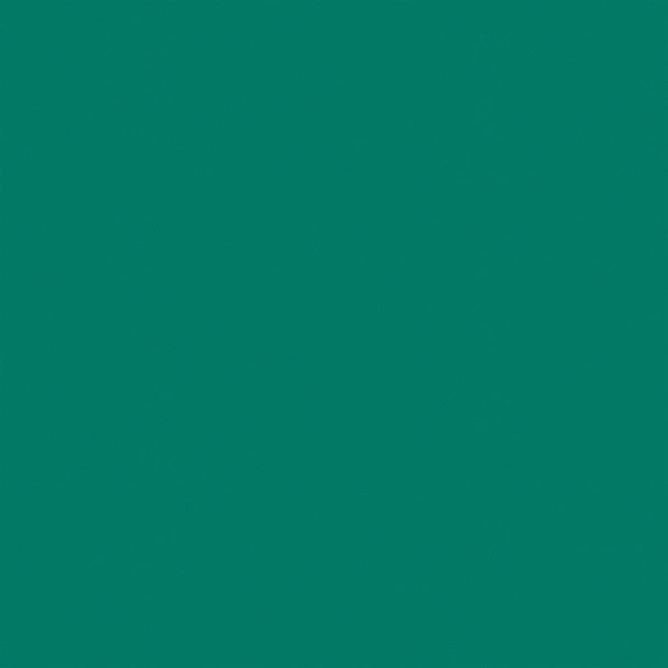 Спортивные покрытия OMNISPORTS ACTION 65 FOREST GREEN TARKETT