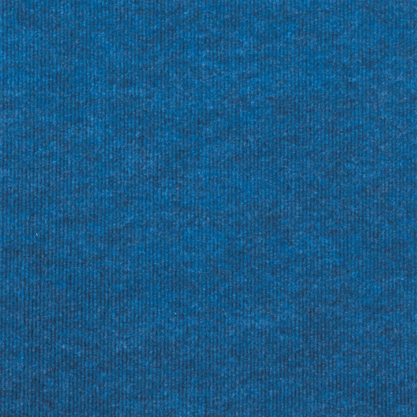 Бытовые ковровые покрытия EKONOMIK PLUS EKONOMIK PLUS  445EP SINTELON