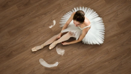 Ламинат BALLET TARKETT